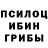 Галлюциногенные грибы Cubensis LolTube xD