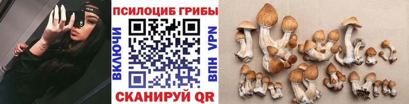 купить наркоту  Кадников  Галлюциногенные грибы GOLDEN TEACHER 